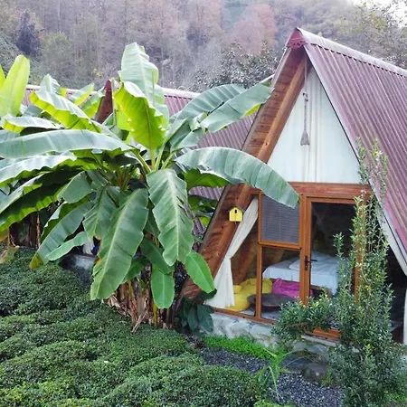 Tabiat Bed & Breakfast *
