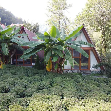 Bed & Breakfast Tabiat *
